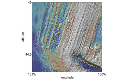 Фрагмент карты дна Тихого океана с продольными складками коры
