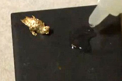 Обнаруженное в воде золото