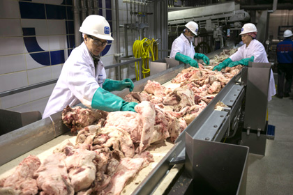 Завод по переработке говядины в Небраске, США