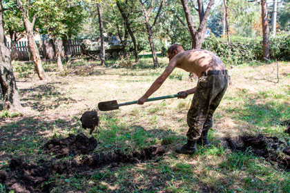 Пленный украинский военный роет могилу для погибших сослуживцев 31 июля 2014 года