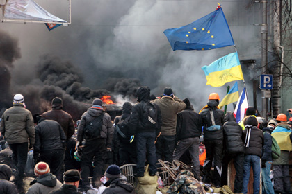 Акция в поддержку евроинтеграции Украины в Киеве, январь 2014 года