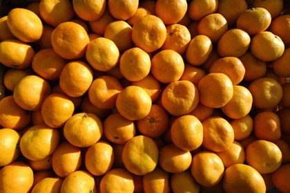 Из Абхазии в ДНР привезли 23 тонны мандаринов и золотые монеты