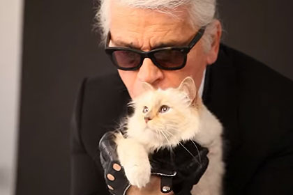 Карл Лагерфельд с кошкой