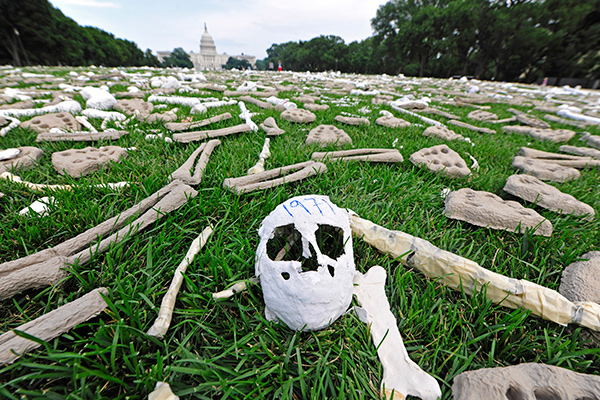 Инсталляция из миллиона костей в Вашингтоне в память о геноциде и государственном насилии в различных странах