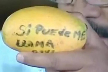Мадуро подарил кинувшей в него манго женщине дом