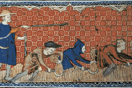 Сбор урожая (Англия, миниатюра 1310 года)