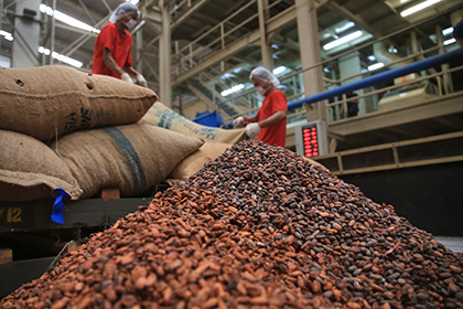 Госдума одобрила Международное соглашение по какао