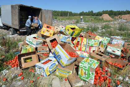 Уничтожение помидоров, задержанных на российско-белорусской границе в августе 2015 года
