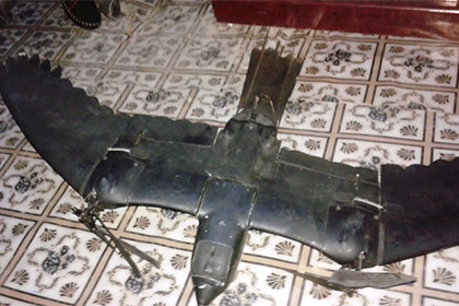 Загадочная птица-беспилотник упала в Сомали