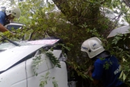 Под Ростовом туристический автобус из Крыма врезался в дерево