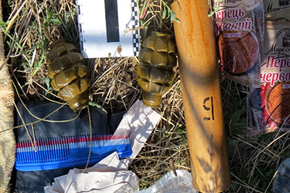 Гранаты, обнаруженые в ходе задержания украинских диверсантов 
