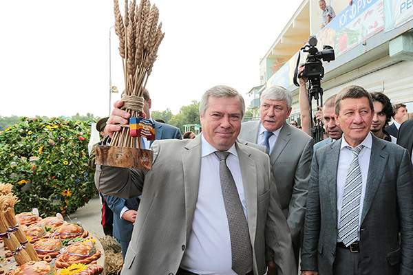 Донской  губернатор: область  взяла  свое   хлебное «олимпийское золото»