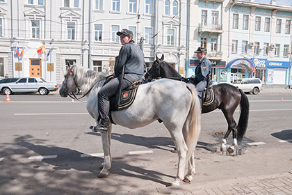 Полицейским лошадям в Москве купят солярии