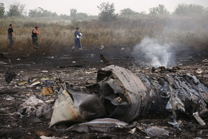 Послу Нидерландов объяснят недопустимость игнорирования данных об MH17