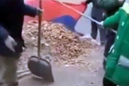 Полиция проверит информацию об уборке листвы в российский флаг