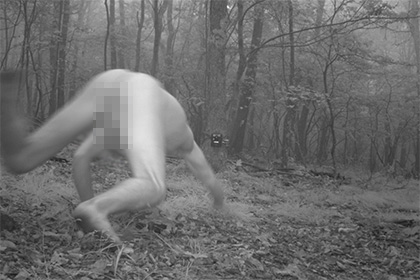Лесная камера для наблюдения за животными засняла голого мужчину
