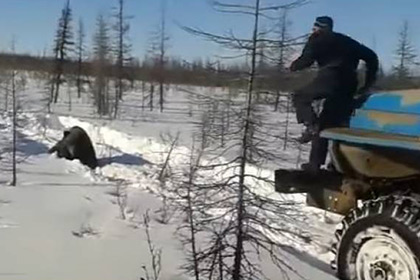 В сеть попало видео с давящими медведя в Якутии «Уралами»