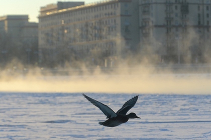 В Москве объявили «оранжевый» уровень опасности из-за холодов