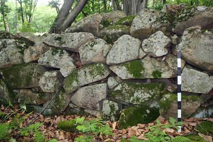 Ученые распознали в памятнике на «Земле леопарда» корейскую крепость