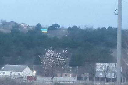 Фотография украинского флага в окрестностях Симферополя 