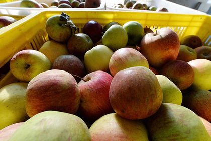 В Армении приказали уничтожить ввезенные из Азербайджана яблоки