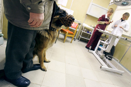 Пьяный житель Ленинградской области натравил пса на фельдшера
