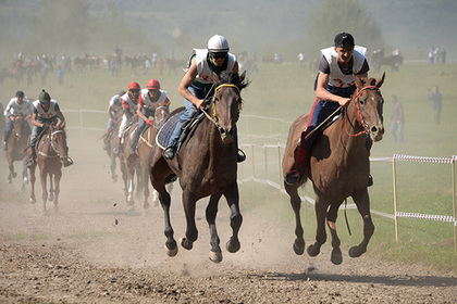 Две лошади Кадырова поучаствуют в скачках на приз президента