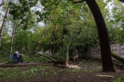 Число пострадавших от урагана в Москве выросло до 168