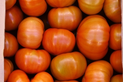 Объявлена дата возвращения турецких помидоров в Россию