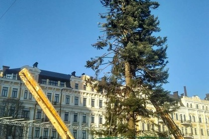 В сети высмеяли облысевшую новогоднюю елку в центре Киева
