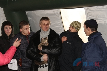 Среди обменяных на Украине пленных оказалась кошка
