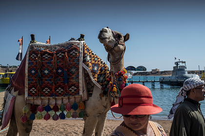 Российским туристам придется повременить с пляжами Египта