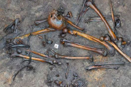В Дании нашли кости сотни убитых человек