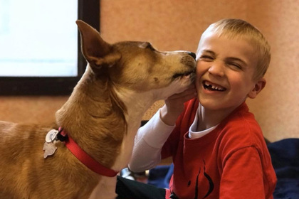 Шестилетний мальчик спас от смерти более тысячи собак