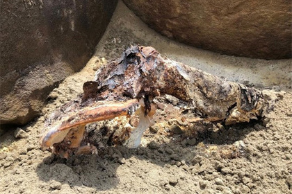 В зоне затопления Саяно-Шушенской ГЭС обнаружили древнюю мумию