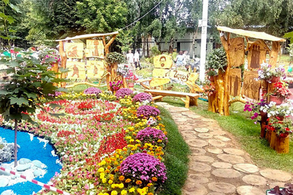 Свыше 40 тысяч растений высадят на фестивале цветов в Подмосковье