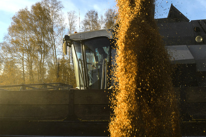 В России наметился зерновой кризис