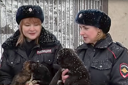 Российские полицейские спасли оставленных на рельсах щенков