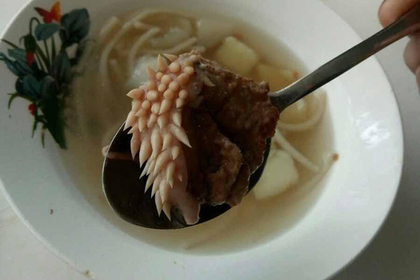 Дети нашли в школьном супе мясо с «белыми щупальцами»