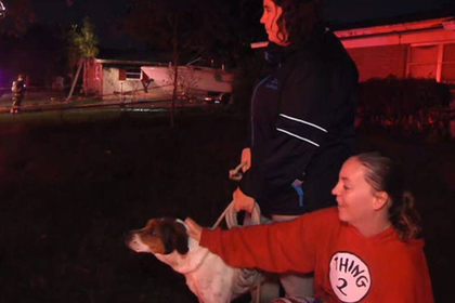 Сообразительная собака спасла семью от гибели