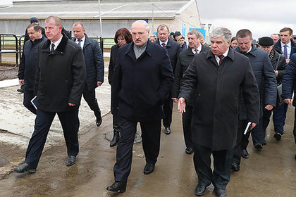 Лукашенко обнаружил «Освенцим» и «кладбище» на коровьей ферме и разозлился