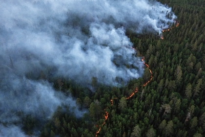 В Забайкальском крае природные пожары уничтожили полторы сотни домов