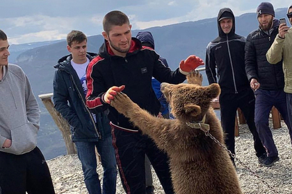 Нурмагомедова раскритиковали за борьбу с медвежонком