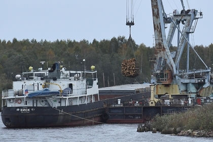 Высоковольтный провод убил рыбу в российской реке
