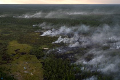 Подсчитан ущерб от лесных пожаров в России