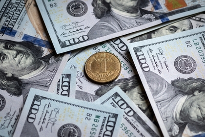 Зеленского попросили сделать доллар национальной валютой Украины