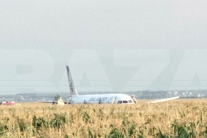 Пассажирский самолет совершил жесткую посадку в поле в Подмосковье