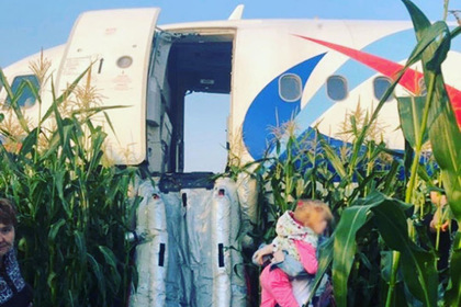 Пассажиры аварийно севшего самолета отказались лететь в Крым