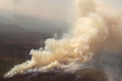 Оценен масштаб экономического ущерба от лесных пожаров в России