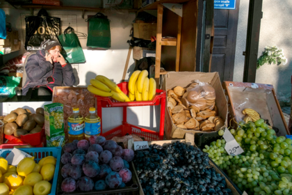 Украинские фрукты и овощи перестали пускать в Европу
